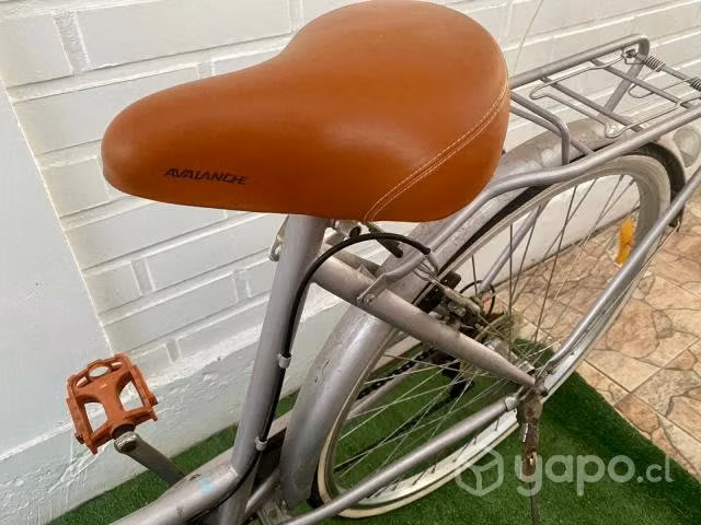 Bicicleta vintage de paseo