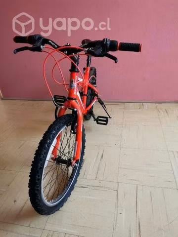 Bicicleta Aro 20