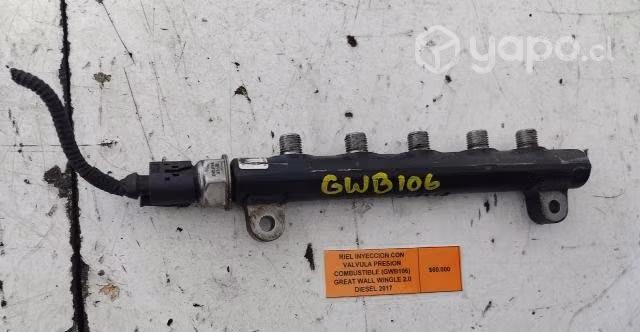 Riel Inyecc C/Valvula Presion Combust (GWB106)