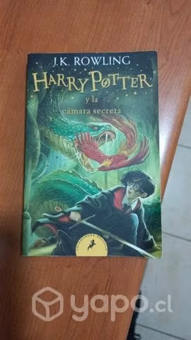 Libro Harry Potter