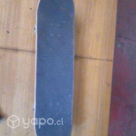 patineta - Imagen 2