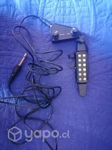 Capsula de guitarra acustica