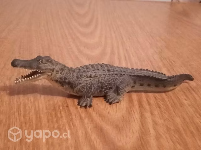 Cocodrilo