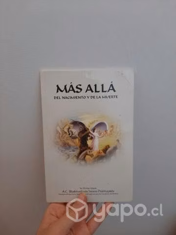 Libro Más allá del nacimiento y de la muerte
