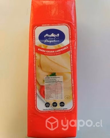 Queso gauda sucedáneo puyehue