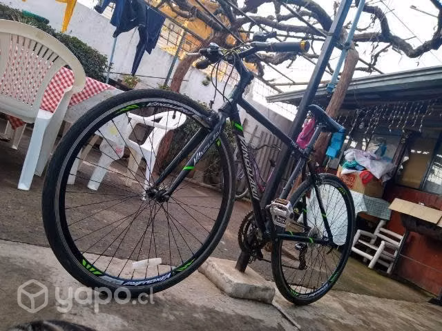Bicicleta pistera