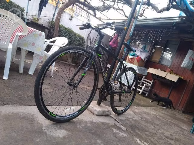 Bicicleta pistera