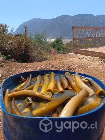 Ulte crudo y cocido.