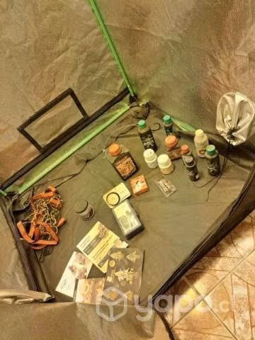 Indoor