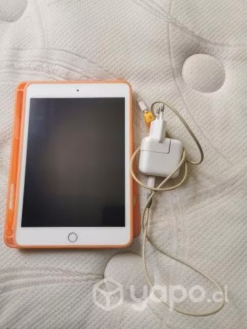 Ipad mini 5