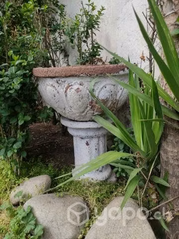 Antiguo bebedero de aves
