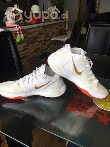 Zapatillas basketball nike zoom freak roses