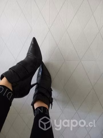 Botin gacel