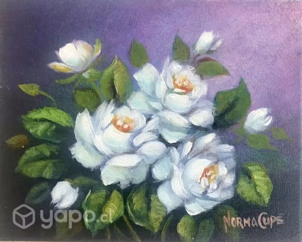 Cuadros Originales , Artista , Norma Cupé