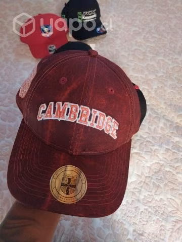 Gorros - Imagen 2