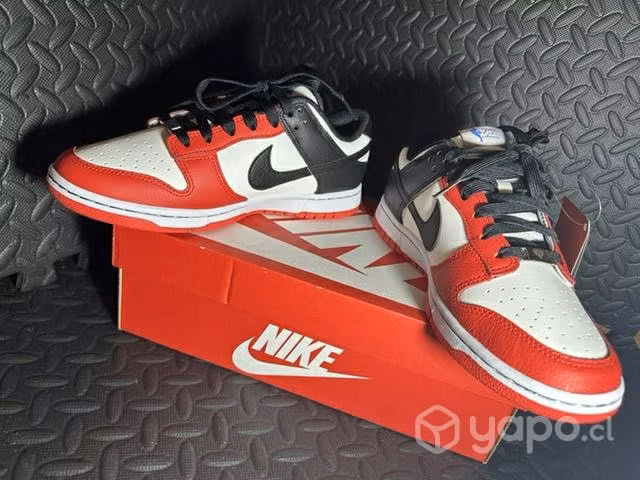 Nike dunk Chicago