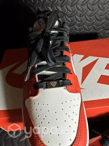 Nike dunk Chicago