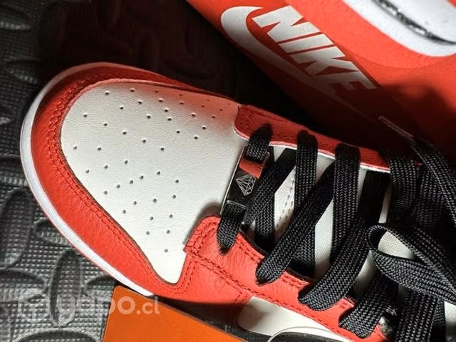 Nike dunk Chicago