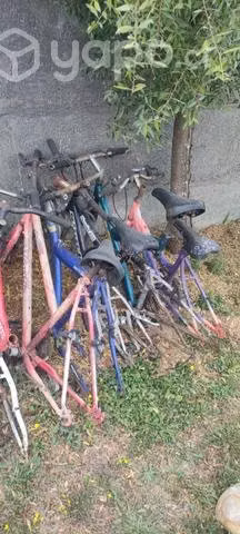 Lote de Marcos de Bicicleta