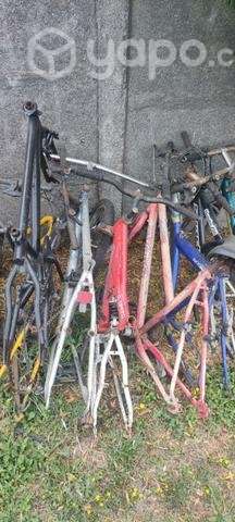 Lote de Marcos de Bicicleta - Imagen 2