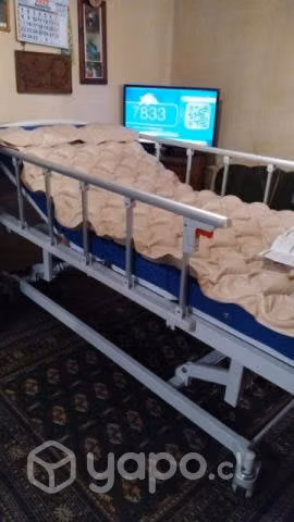 Cama clínica