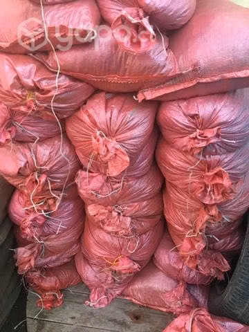 Tierra de hoja