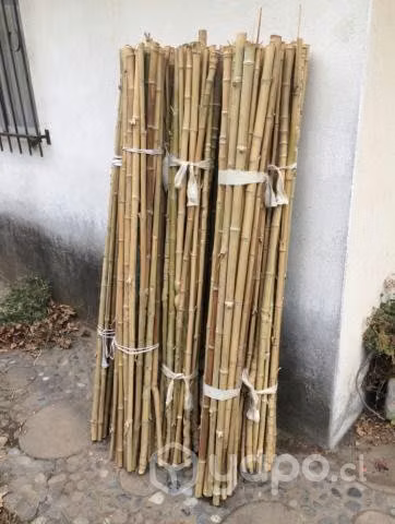 Palos de colihue