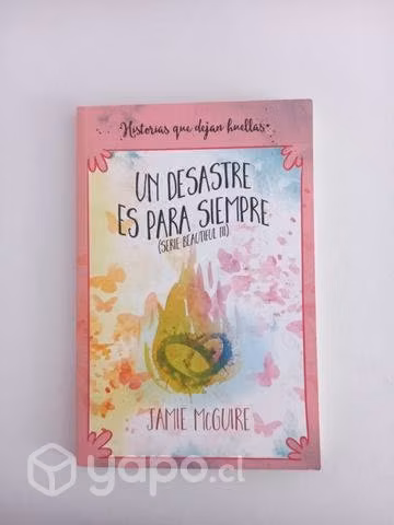 Un desastre es para siempre, Jamie McGuire