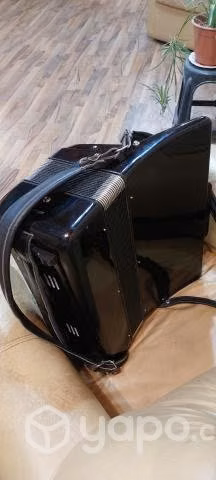 Acordeon - Imagen 2