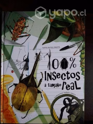 100% Insectos A Tamaño Real