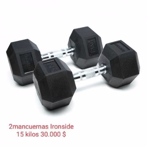 Ventilador, escalera , pesas , licuadora de inmers