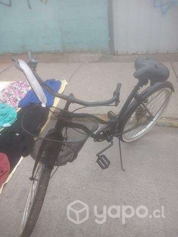 Bicicleta savannah - Imagen 2