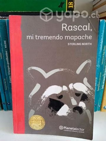 Rascal, mi tremendo mapache