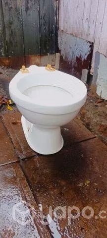 Taza de baño