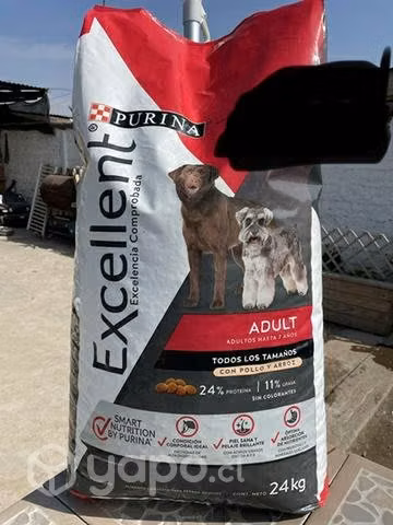 Purina Excellent y Pro plan