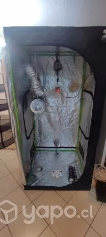 Indoor 1.80x2.00