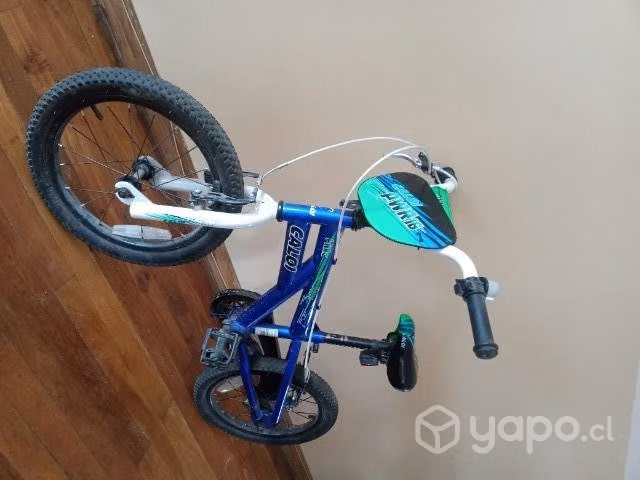 Bicicleta