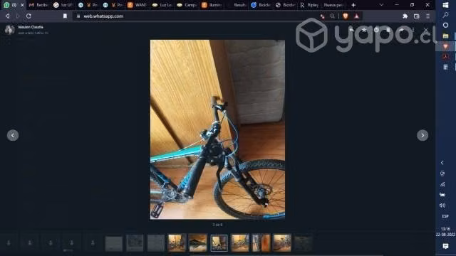 Bicicleta