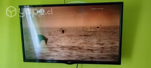 Televisor LED 32" - Imagen 2