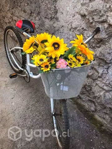 Bicicleta - Imagen 2