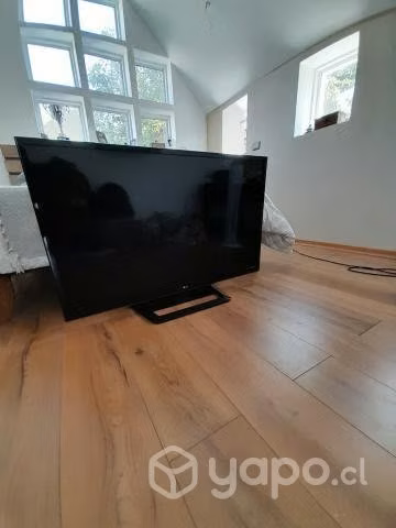 Televisor