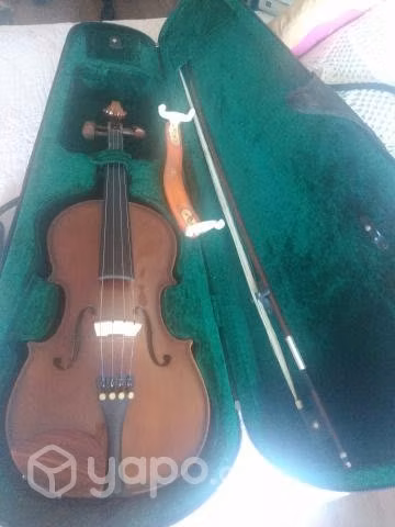 Viola