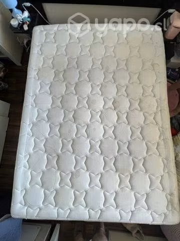 Cama