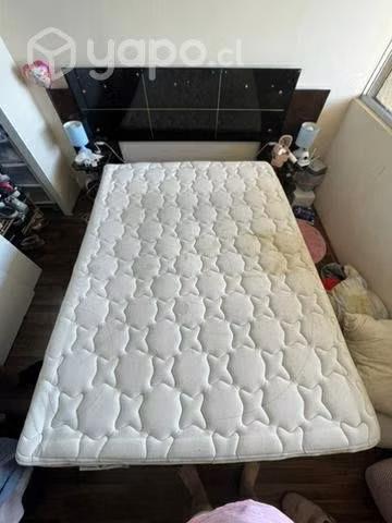 Cama