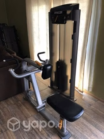 Máquinas de Gimnasio Alto Tráfico Grandes Marcas
