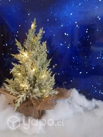 Navidad