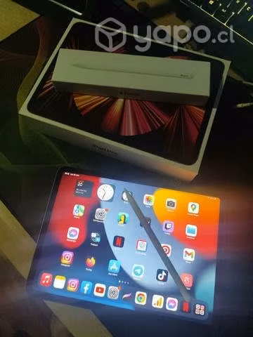 Ipad Pro 11" M1 256gb Wifi + Apple Pencil 2