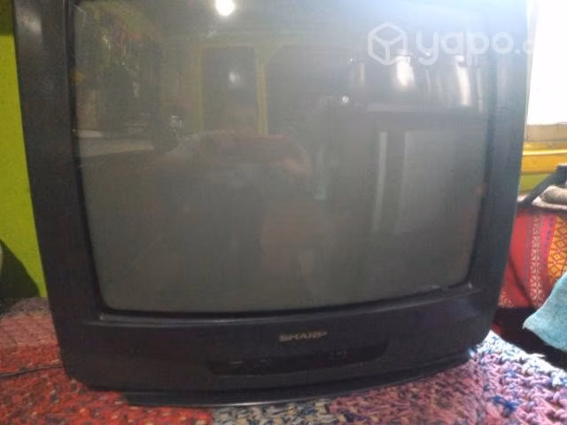 televisor
