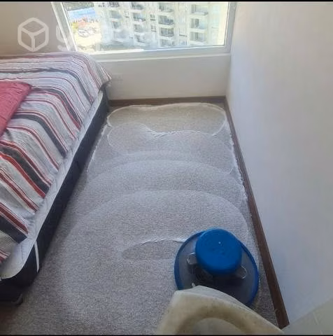 Lavado de alfombras y tapices