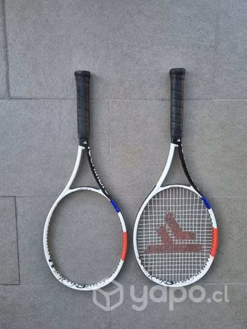 Par de raquetas Tecnifibre T40 305g